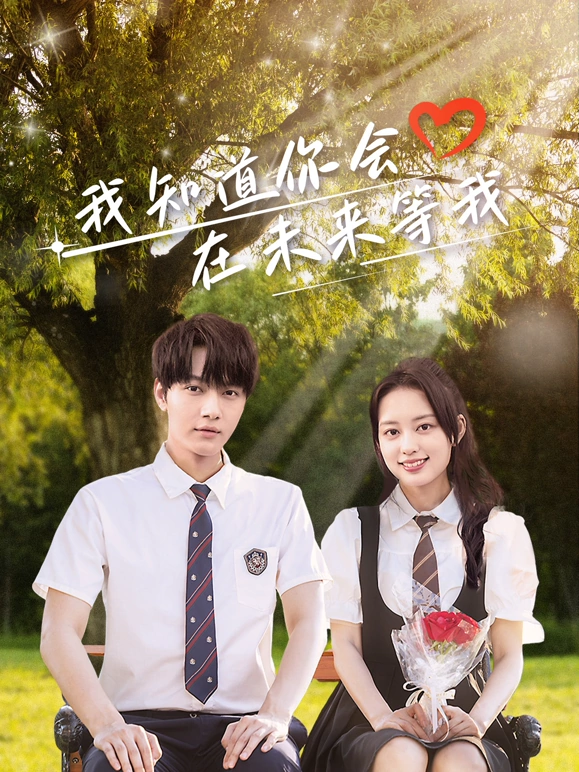 我知道你会在未来等我