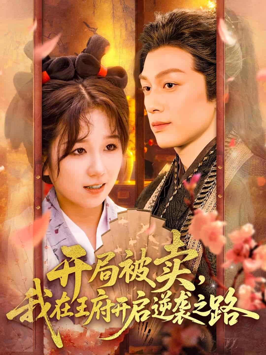 开局被卖我在王府开启逆袭之路